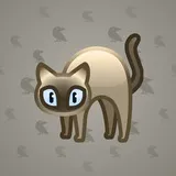 Scared Cat #4699 Scared Cat #4699
