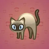 Scared Cat #4774