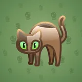 Scared Cat #4819 Scared Cat #4819