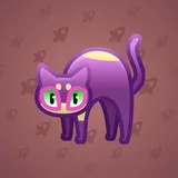 Scared Cat #4912 Scared Cat #4912