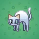 Scared Cat #496