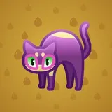Scared Cat #4971 Scared Cat #4971