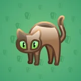 Scared Cat #5060 Scared Cat #5060