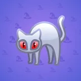 Scared Cat #514 Scared Cat #514