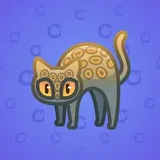 Scared Cat #5180 Scared Cat #5180