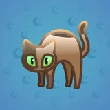 Scared Cat #5202 Scared Cat #5202