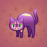 Scared Cat #5212 Scared Cat #5212