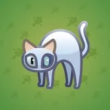 Scared Cat #5256 Scared Cat #5256