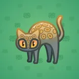 Scared Cat #5266 Scared Cat #5266