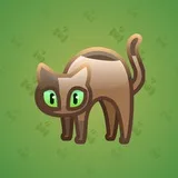 Scared Cat #5370