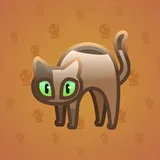 Scared Cat #5989 Scared Cat #5989