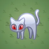 Scared Cat #6045 Scared Cat #6045