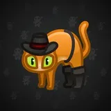 Scared Cat #6047 Scared Cat #6047