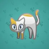 Scared Cat #6140 Scared Cat #6140