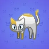 Scared Cat #6163 Scared Cat #6163