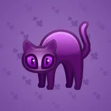 Scared Cat #6203 Scared Cat #6203