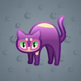 Scared Cat #6234 Scared Cat #6234
