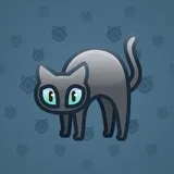 Scared Cat #6263 Scared Cat #6263