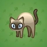 Scared Cat #6316 Scared Cat #6316