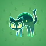 Scared Cat #6334 Scared Cat #6334