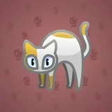 Scared Cat #6335 Scared Cat #6335