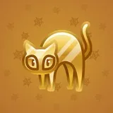 Scared Cat #6336 Scared Cat #6336