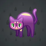 Scared Cat #6365 Scared Cat #6365