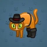 Scared Cat #6440 Scared Cat #6440