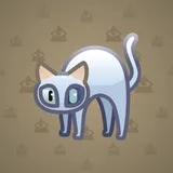 Scared Cat #6585 Scared Cat #6585