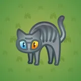 Scared Cat #6719 Scared Cat #6719