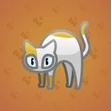 Scared Cat #7080 Scared Cat #7080