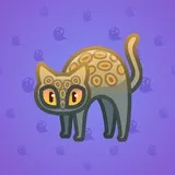 Scared Cat #7120 Scared Cat #7120