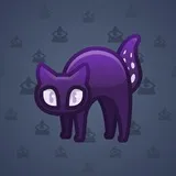 Scared Cat #719 Scared Cat #719