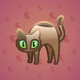 Scared Cat #7259