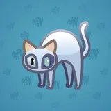 Scared Cat #738 Scared Cat #738