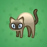 Scared Cat #7548