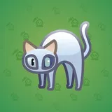 Scared Cat #7717 Scared Cat #7717