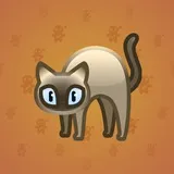 Scared Cat #772 Scared Cat #772