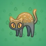 Scared Cat #7938