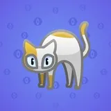 Scared Cat #8081 Scared Cat #8081