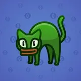 Scared Cat #8295 Scared Cat #8295