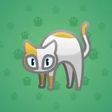 Scared Cat #8390