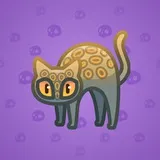 Scared Cat #8560 Scared Cat #8560