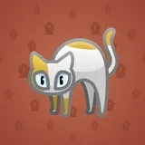 Scared Cat #8711 Scared Cat #8711
