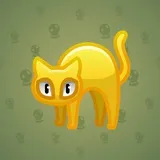 Scared Cat #8777 Scared Cat #8777