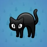 Scared Cat #8843 Scared Cat #8843