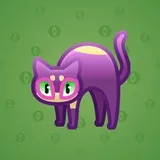 Scared Cat #8852 Scared Cat #8852