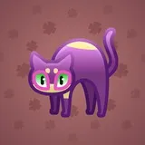 Scared Cat #889
