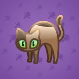 Scared Cat #8908 Scared Cat #8908
