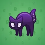 Scared Cat #8969 Scared Cat #8969